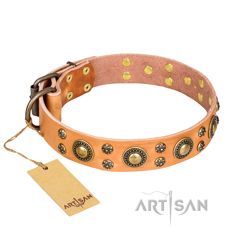 "Sophisticated Glamor" FDT Artisan Leather Swiss Mountain Dog Collar with Fancy Old Bronze-like Plated Decorations