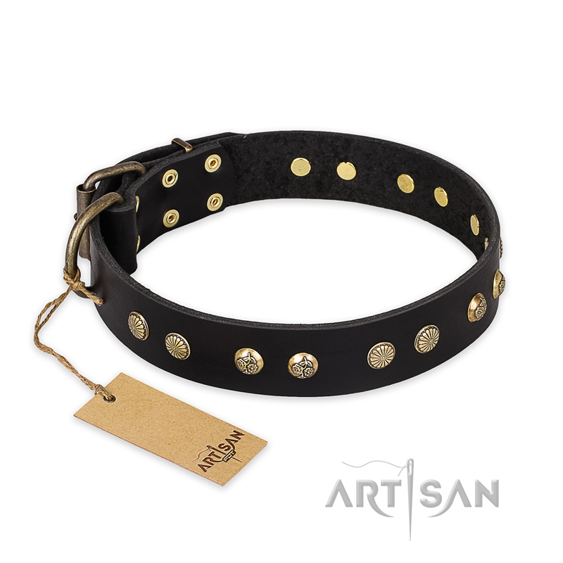 "Black Elegance" FDT Artisan Leather Swiss Mountain Dog Collar with Round Studs
