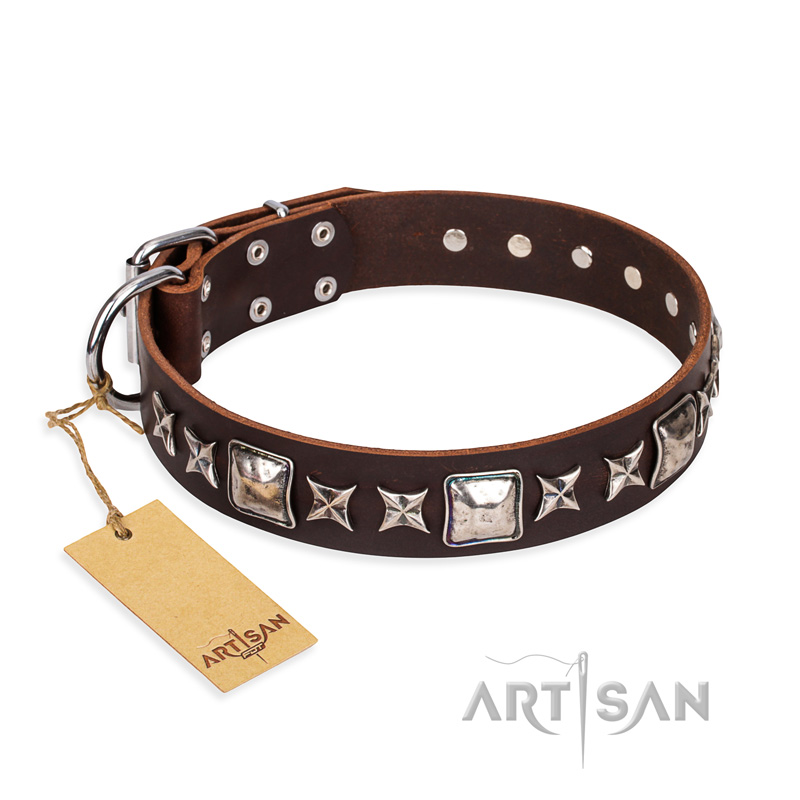 "Perfect Impression" FDT Artisan Brown Leather Swiss Mountain Dog Collar with Silvery Square Studs