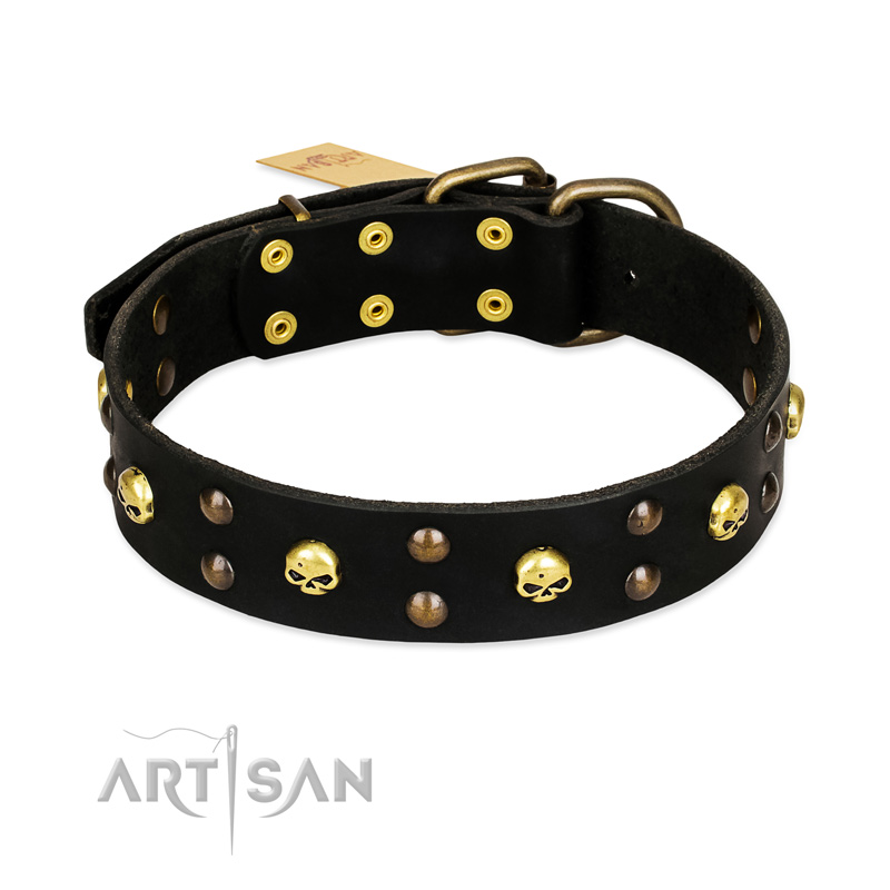 "Heavy Metal" Leather Swiss Mountain Dog Collar with Skulls and Studs 1 1/2 inch (40 mm)