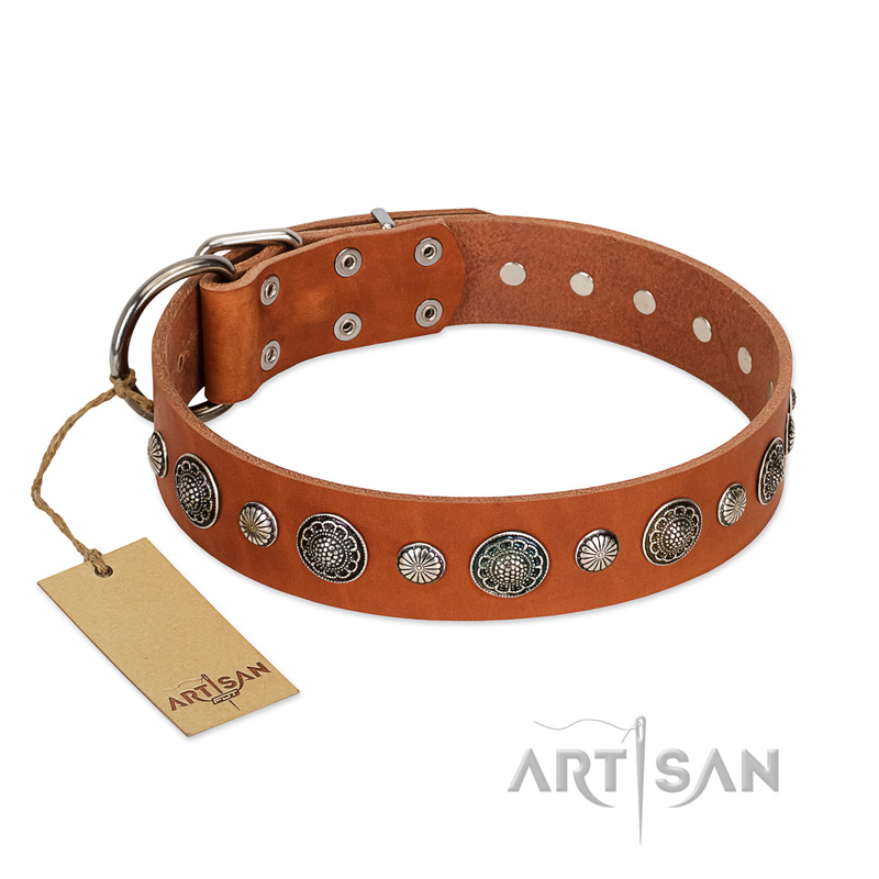 "Natural Beauty" FDT Artisan Tan Leather Swiss Mountain Dog Collar with Shining Silver-like Studs