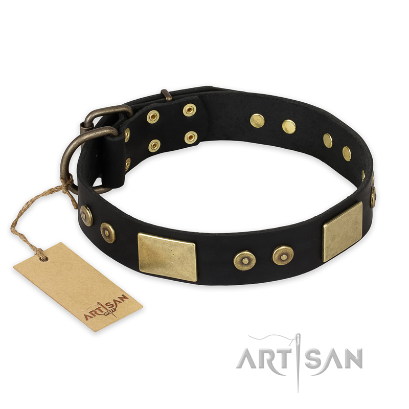 "Spanish night" FDT Artisan Fashionable Leather Walking Swiss Mountain Dog Collar