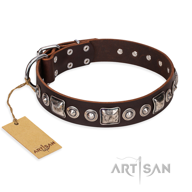 "Pierian spring" FDT Artisan Brown Leather Swiss Mountain Dog Collar with Silvery Decorations