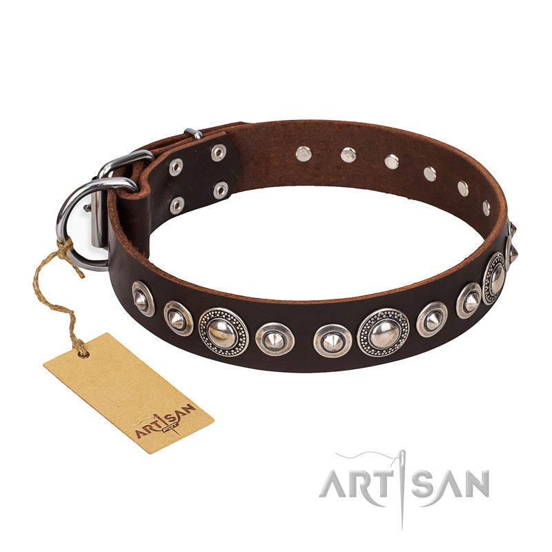 "Step and Sparkle" FDT Artisan Glamorous Studded Brown Leather Swiss Mountain Dog Collar