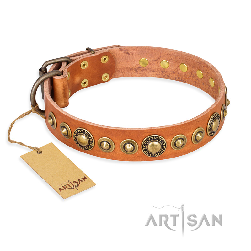 "Feast of Luxury" FDT Artisan Tan Leather Swiss Mountain Dog Collar with Old Bronze Look Circles