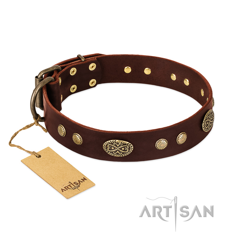 "Old-fashioned Glamor" FDT Artisan Brown Leather Swiss Mountain Dog Collar with Old Bronze Look Plates and Circles