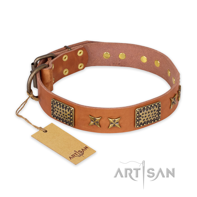 "Cosmic Traveller" FDT Artisan Adorned Leather Swiss Mountain Dog Collar with Old Bronze-Plated Stars and Plates - Click Image to Close