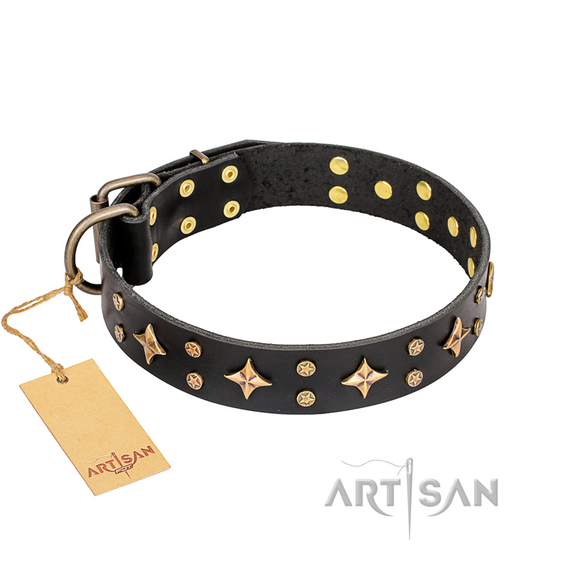 "A La Mode" FDT Artisan Handcrafted Black Leather Swiss Mountain Dog Collar - Click Image to Close