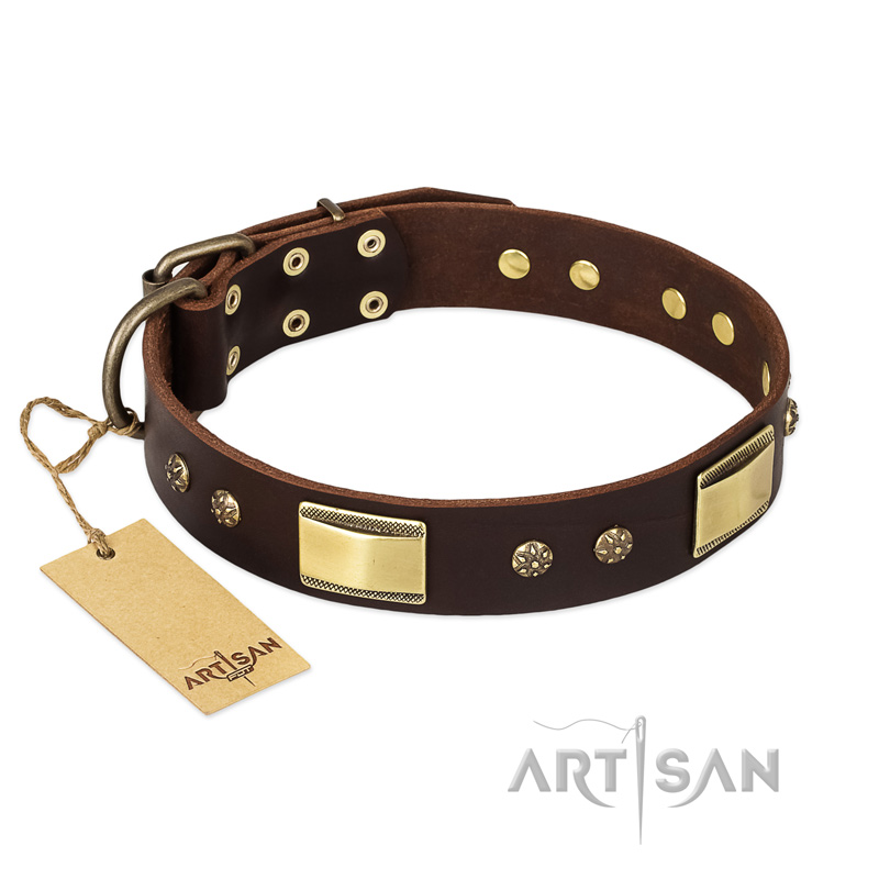 "Rich Fashion" FDT Artisan Decorated Leather Swiss Mountain Dog Collar with Plates and Studs