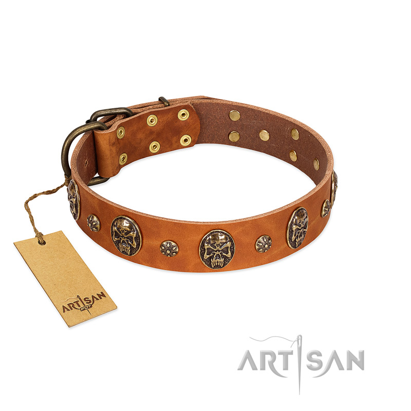 "Rockstar" FDT Artisan Tan Leather Swiss Mountain Dog Collar with Engraved Studs and Medallions
