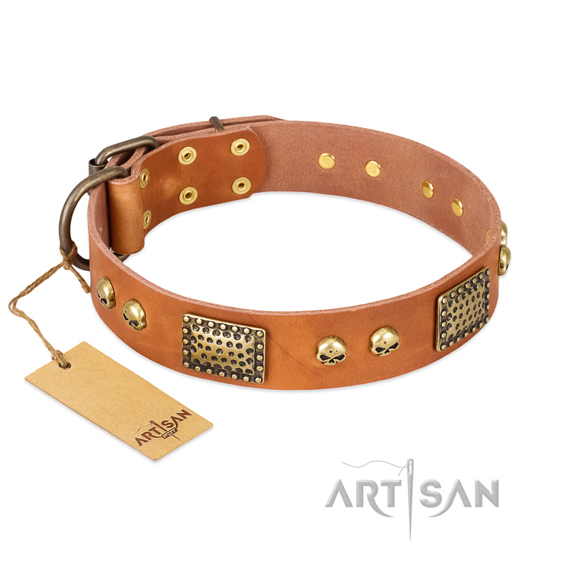 "Saucy Nature" FDT Artisan Tan Leather Swiss Mountain Dog Collar with Old Bronze Look Plates and Skulls