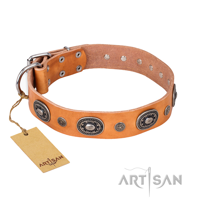 "Twinkle Twinkle" FDT Artisan Incredible Studded Tan Leather Swiss Mountain Dog Collar
