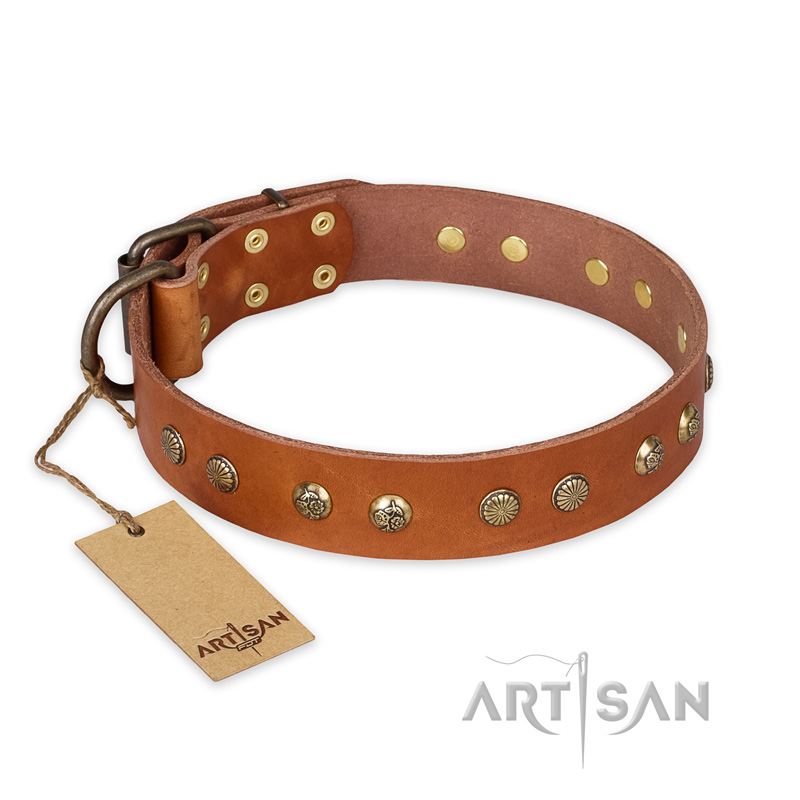 "Spring Flavor" FDT Artisan Adorned Leather Swiss Mountain Dog Collar with Old Bronze-Plated Engraved Studs