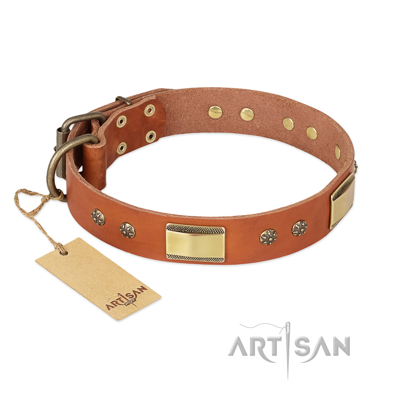 "Enchanting Spectacle" FDT Artisan Tan Leather Swiss Mountain Dog Collar with Old Bronze Look Plates and Round Studs