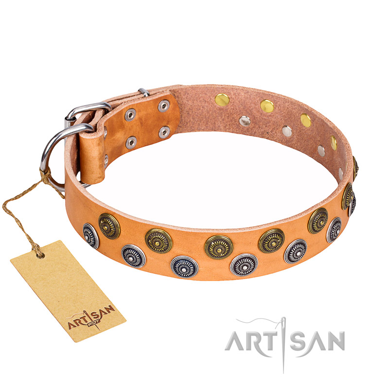 "Precious Sparkle" FDT Artisan Handcrafted Tan Leather Swiss Mountain Dog Collar