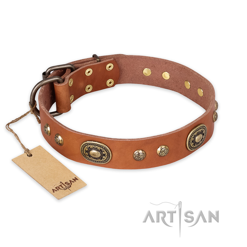 "Stunning Dress" FDT Artisan Tan Leather Swiss Mountain Dog Collar with Old Bronze Look Plates and Studs