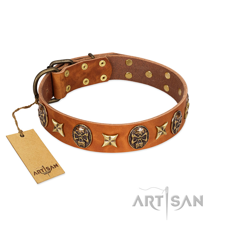 "Rockin' Doggie" FDT Artisan Tan Leather Swiss Mountain Dog Collar Adorned with Stars and Skulls
