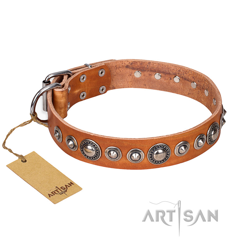 "Daily Chic" FDT Artisan Tan Leather Swiss Mountain Dog Collar with Decorations