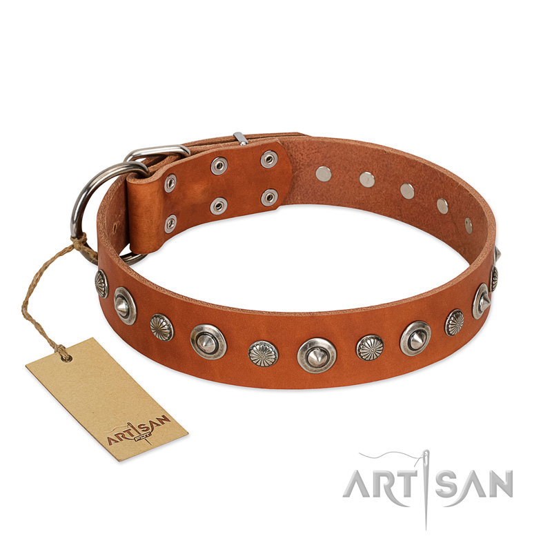 "Gorgeous Roundie" FDT Artisan Tan Leather Swiss Mountain Dog Collar with Chrome-plated Circles