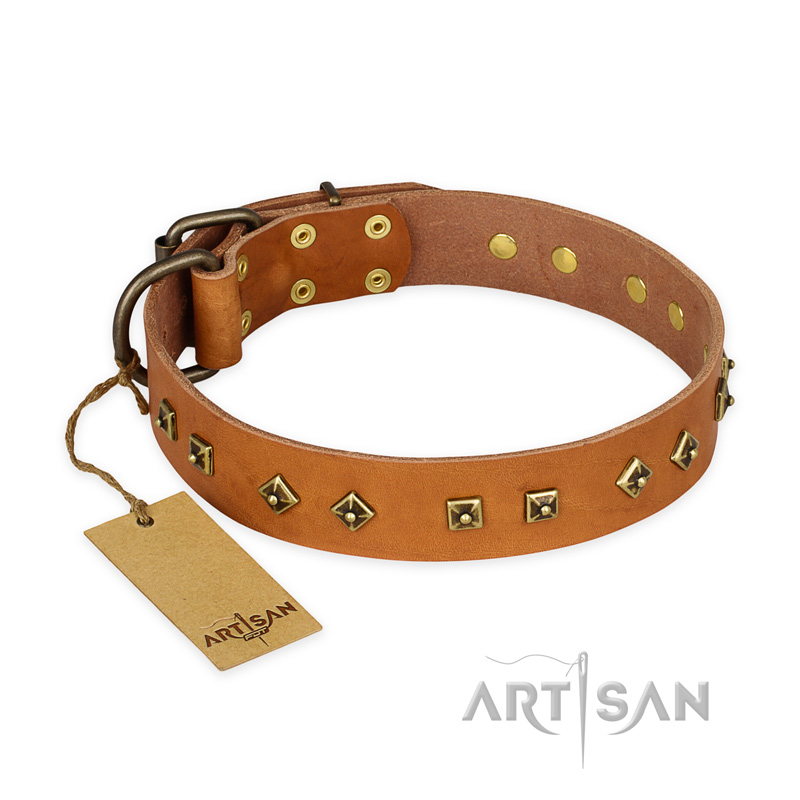 "Autumn Story" FDT Artisan Leather Swiss Mountain Dog Collar with Old Bronze Look Studs