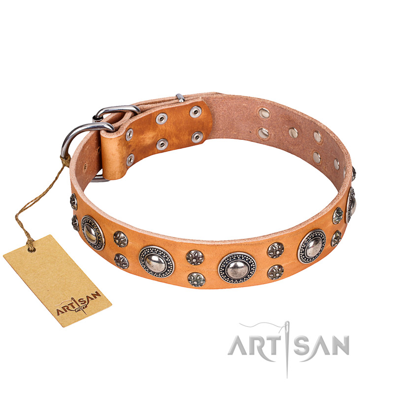 "Extra Sparkle" FDT Artisan Handcrafted Tan Leather Swiss Mountain Dog Collar - Click Image to Close