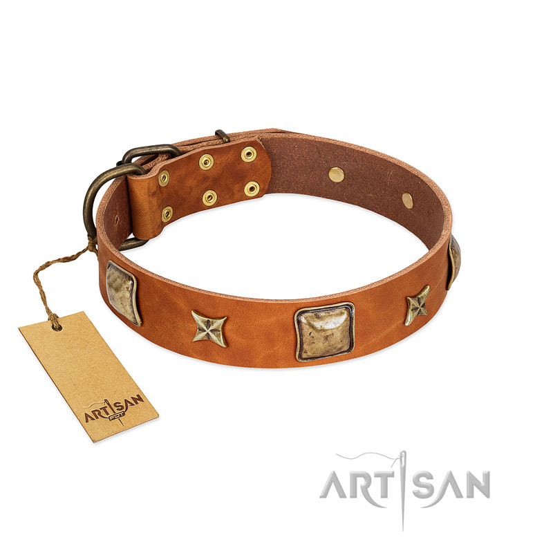 "Celtic Tunes" FDT Artisan Tan Leather Swiss Mountain Dog Collar Adorned with Stars and Squares