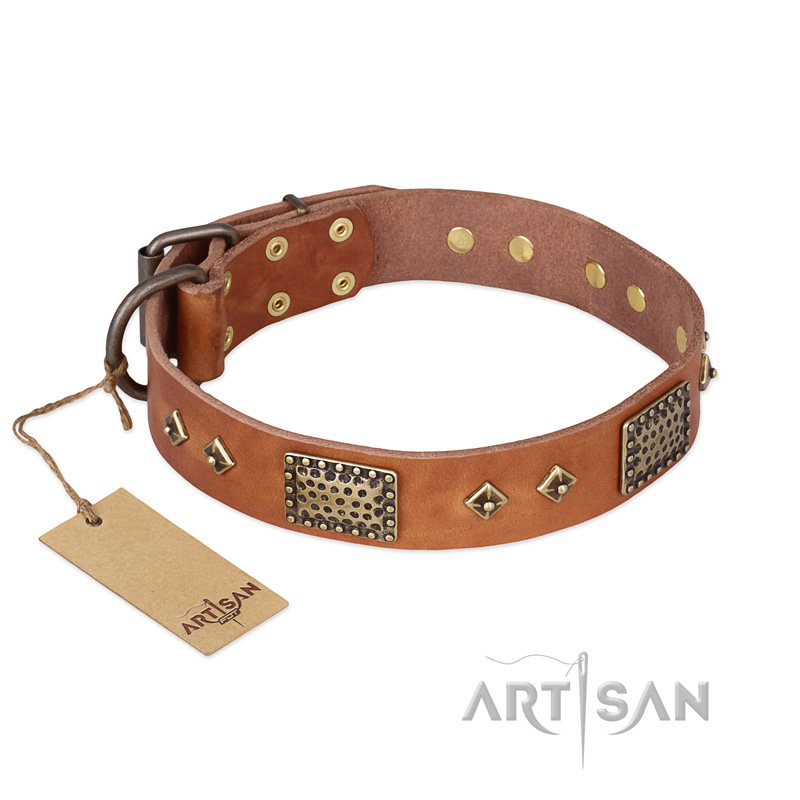 "Catchy Look" FDT Artisan Decorated Tan Leather Swiss Mountain Dog Collar