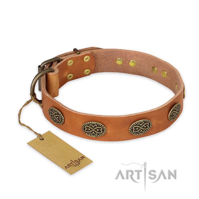 "Magic Amulet" FDT Artisan Tan Leather Swiss Mountain Dog Collar with Oval Studs