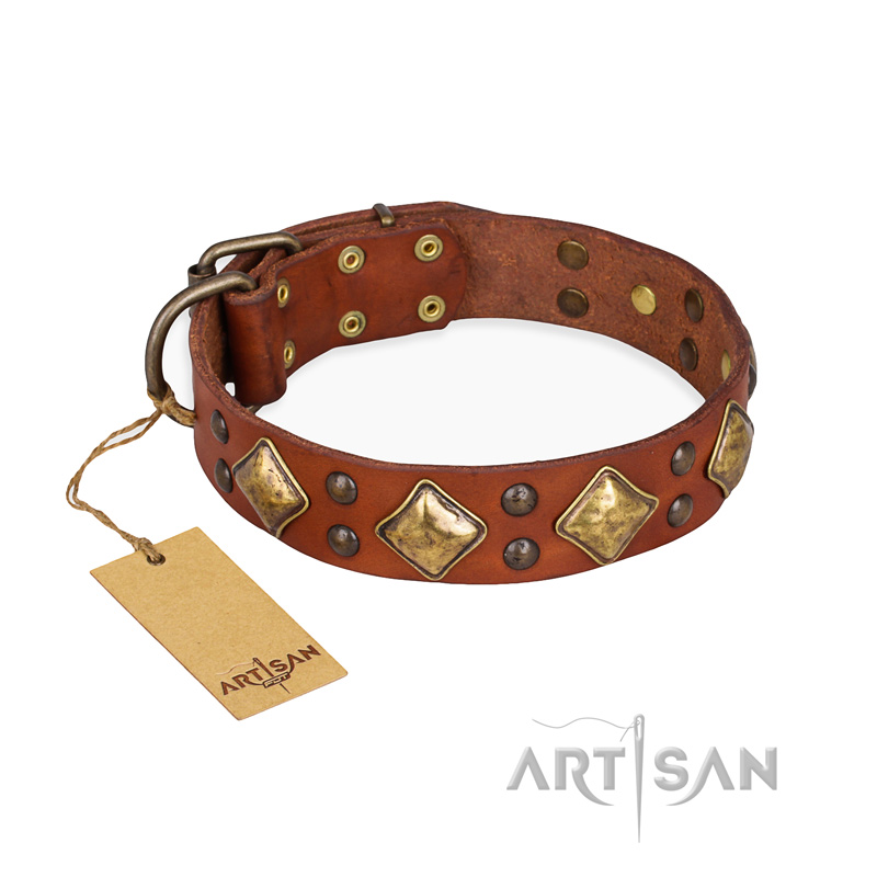 "Flight of Fancy" FDT Artisan Adorned Leather Swiss Mountain Dog Collar