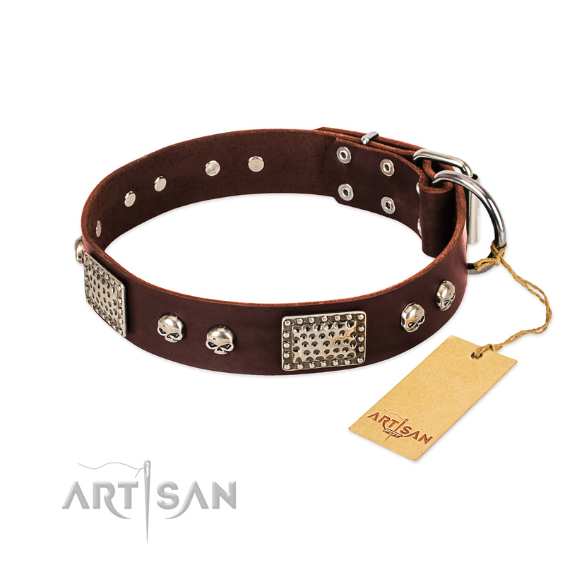 "Pirate Skull" FDT Artisan Brown Leather Swiss Mountain Dog Collar with Old Silver Look Plates and Skulls