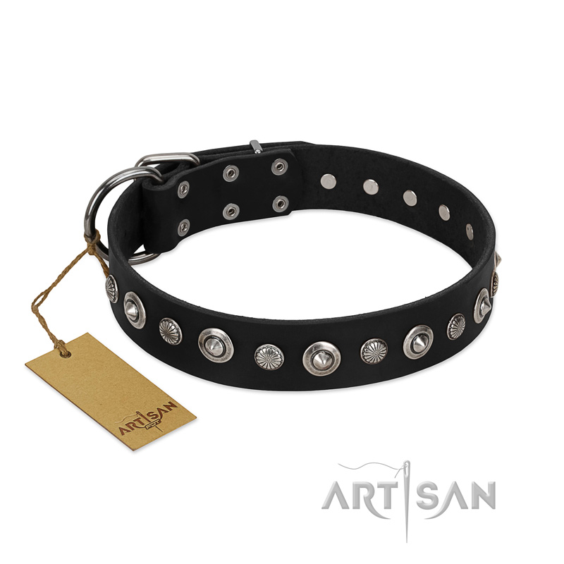 "Genteel Charm" FDT Artisan Black Leather Swiss Mountain Dog Collar with Silver-like Round Conchos