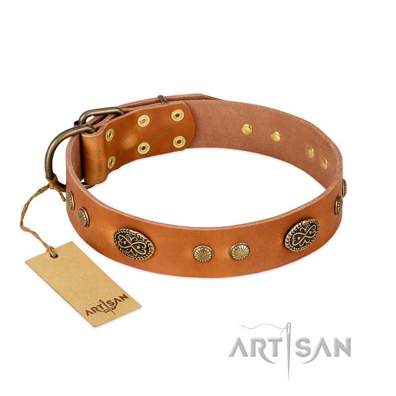 "Sun Beams" FDT Artisan Tan Leather Swiss Mountain Dog Collar with Decorations