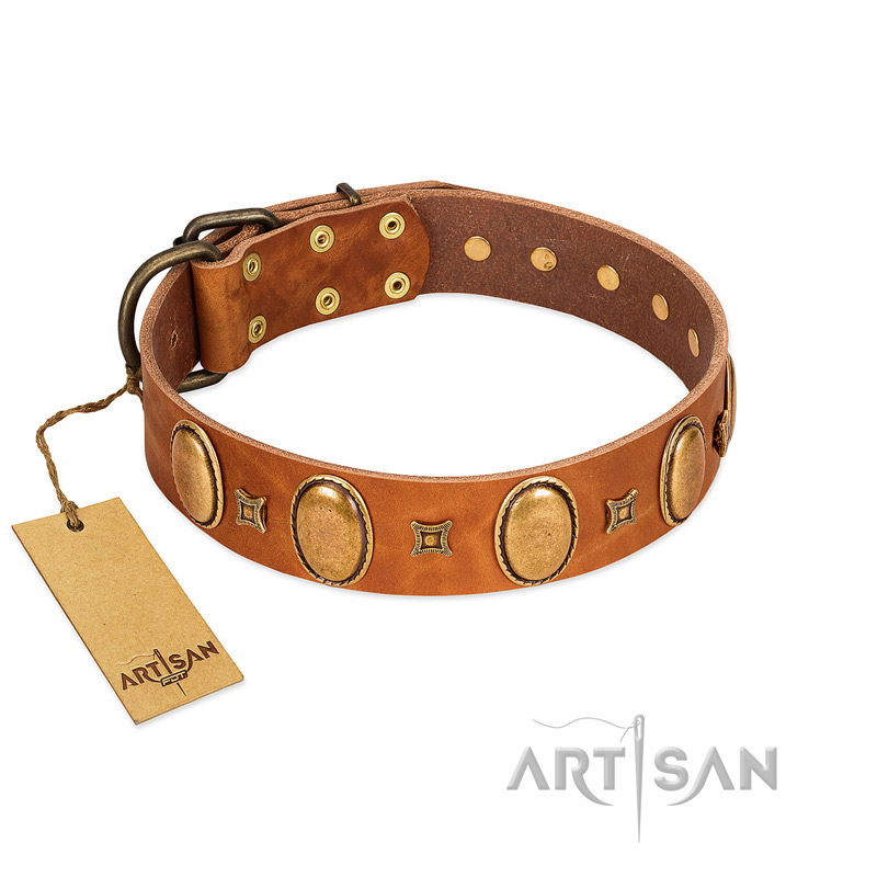 "Glossy Autumn" Designer Handmade FDT Artisan Tan Leather Swiss Mountain Dog Collar with Ovals and Studs
