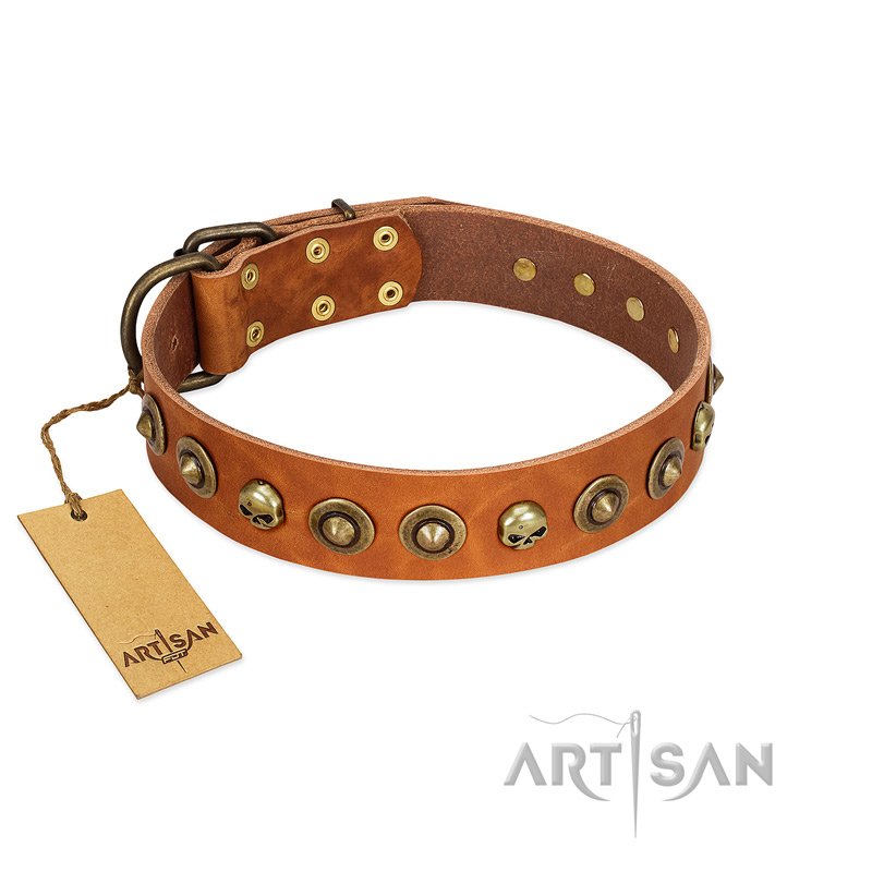 "Prez of the Pack" FDT Artisan Tan Leather Swiss Mountain Dog Collar with Skulls and Brooches