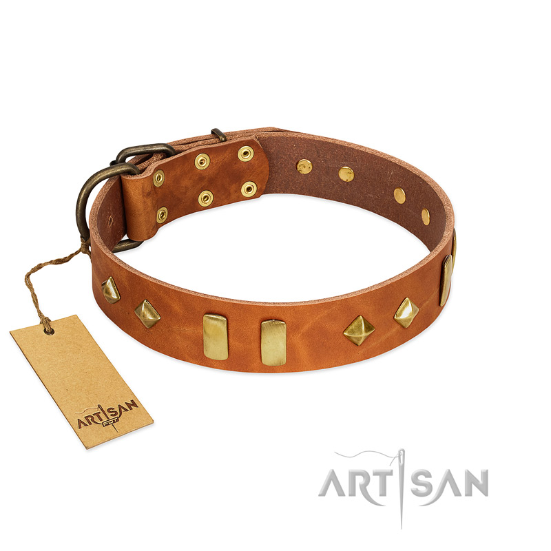 "Woofy Dawn" FDT Artisan Tan Leather Swiss Mountain Dog Collar with Plates and Rhombs