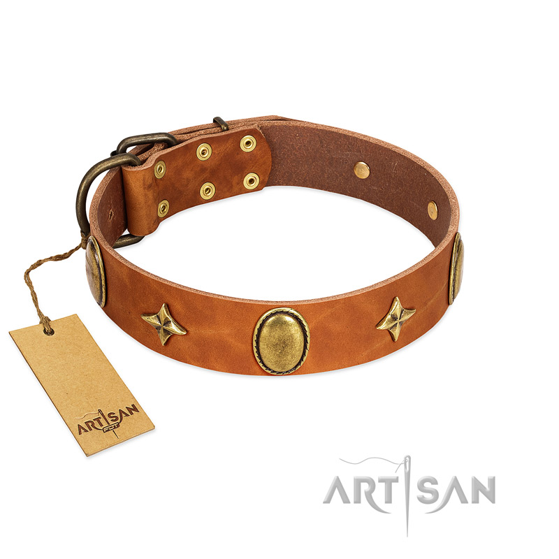 "Space Warrior" FDT Artisan Tan Leather Swiss Mountain Dog Collar with Ovals and Stars