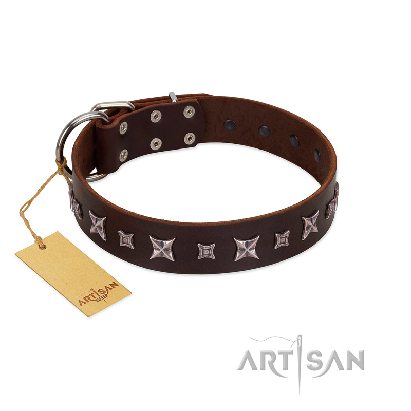 "Stellar Fairy " FDT Artisan Brown Leather Swiss Mountain Dog Collar with Chrome-plated Star-like Decorations