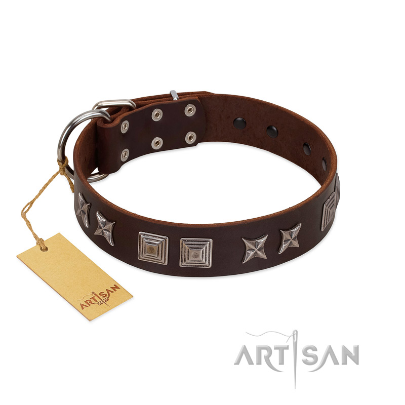 "Needle Stories" Modern FDT Artisan Brown Leather Swiss Mountain Dog Collar with Square Engraved Plates and Four-Point Stars