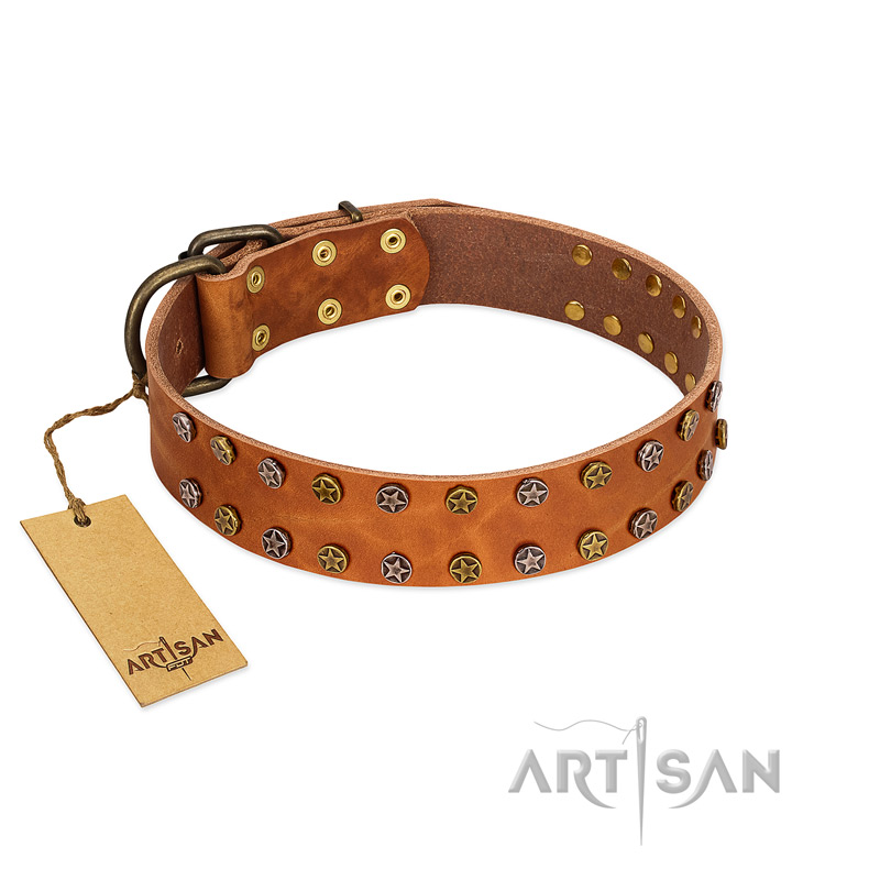 "Walk and Shine" FDT Artisan Tan Leather Swiss Mountain Dog Collar with Antiqued Studs