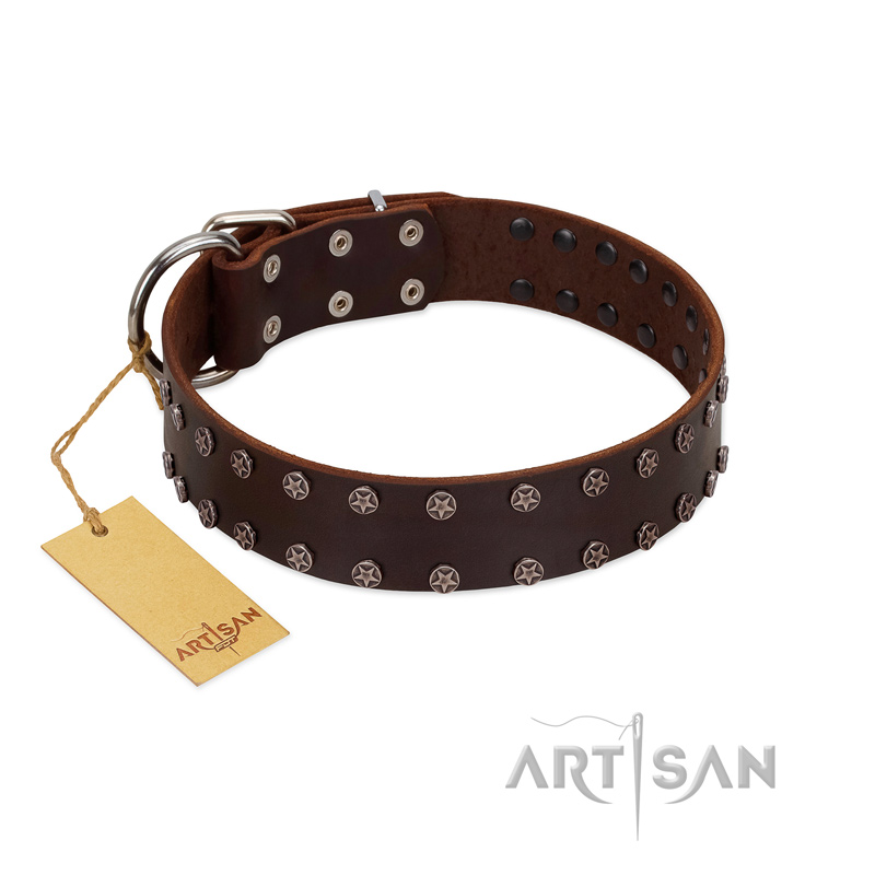 "Star Party" Handmade FDT Artisan Brown Leather Swiss Mountain Dog Collar with Silver-Like Studs