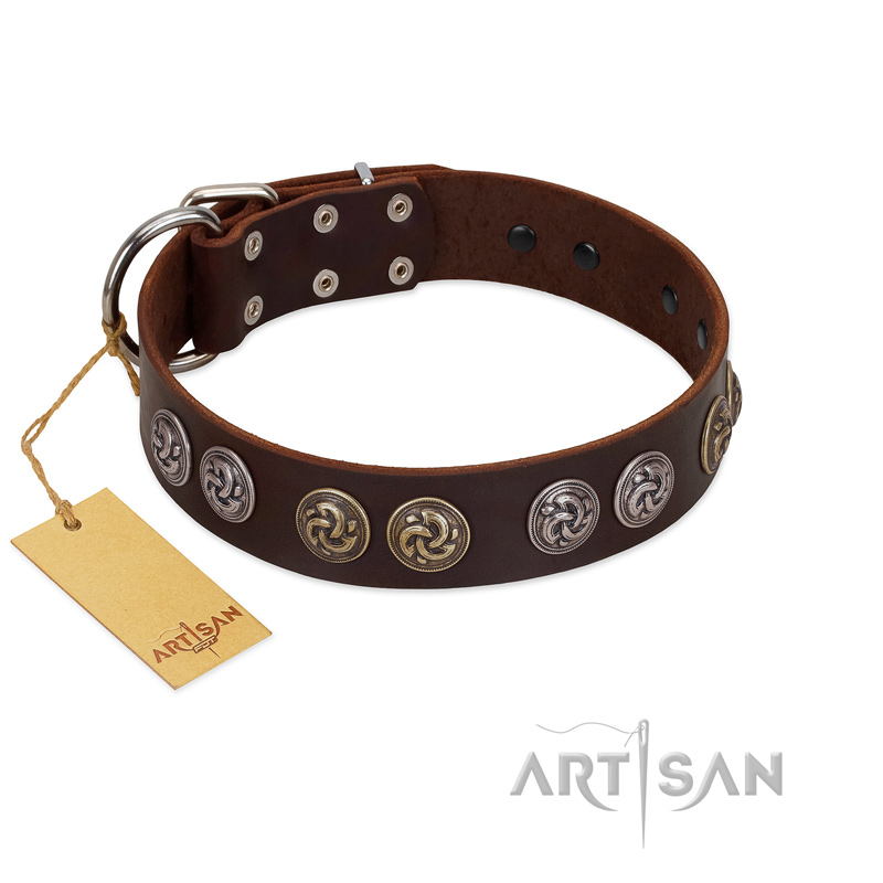 hunter swiss collar