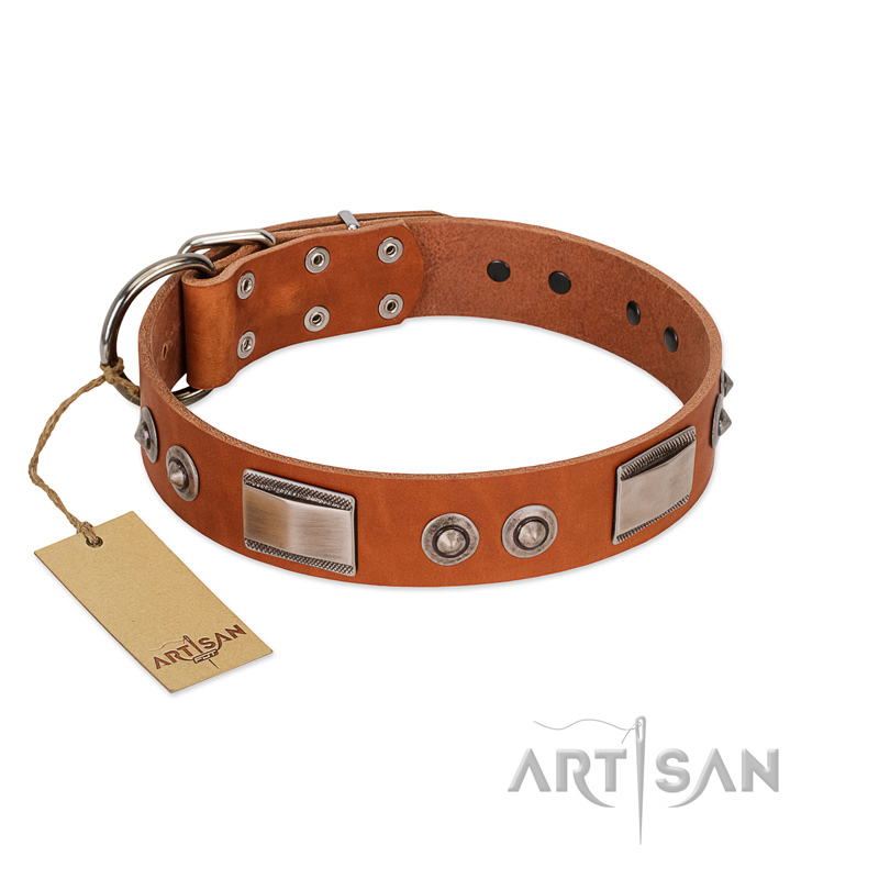 "Pawsy Glossy" FDT Artisan Exclusive Tan Leather Swiss Mountain Dog Collar 1 1/2 inch (40 mm) wide