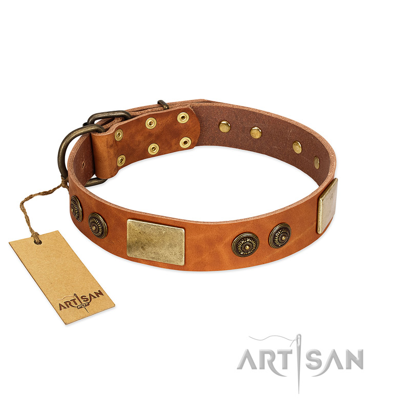 "Bronze Century" FDT Artisan Tan Leather Swiss Mountain Dog Collar with Plates and Brooches with Cool Ornament