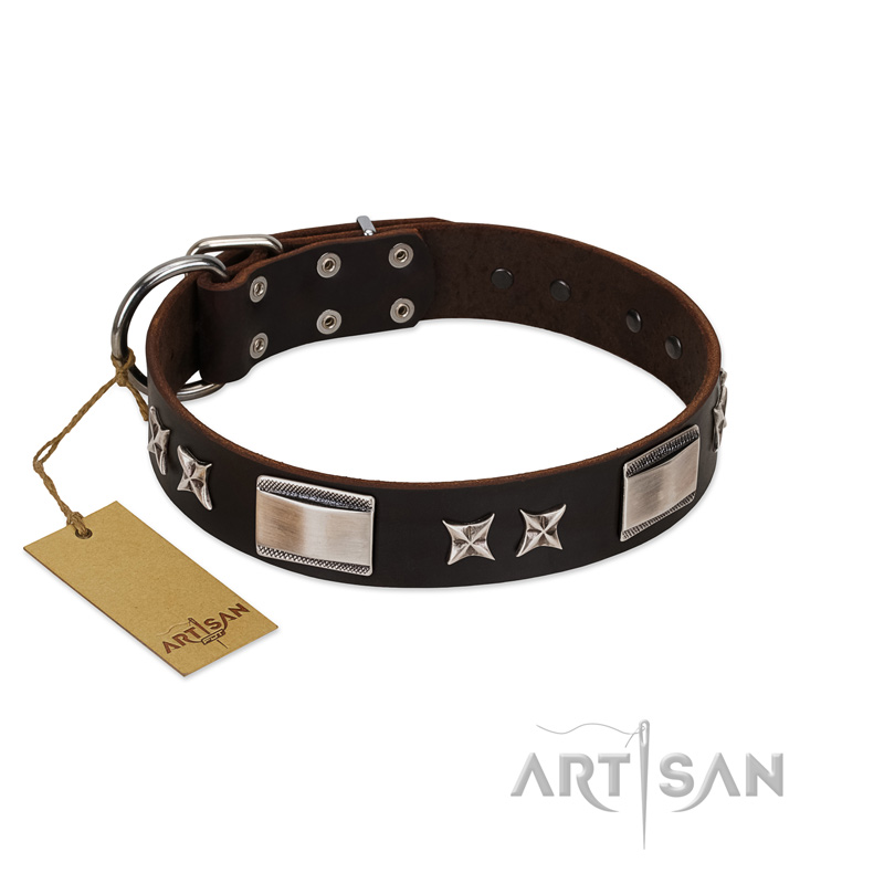 "Satin Beauts" FDT Artisan Brown Leather Swiss Mountain Dog Collar with Stars and Plates