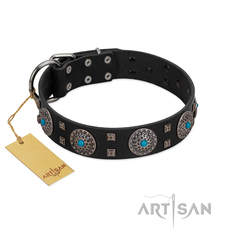 "Boundless Blue" FDT Artisan Black Leather Swiss Mountain Dog Collar with Chrome Plated Brooches and Square Studs