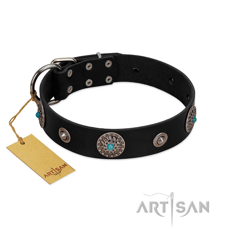 "Blue Gems" FDT Artisan Black Leather Swiss Mountain Dog Collar with Chrome Plated Studs and Conchos