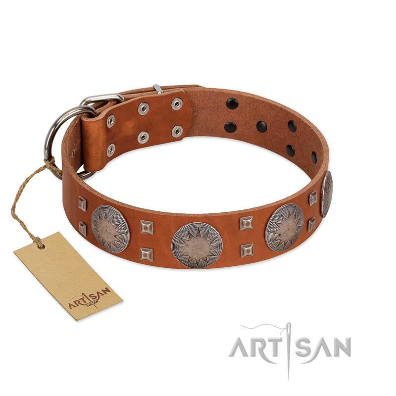 "Sun Rise Noon" FDT Artisan Tan Leather Swiss Mountain Dog Collar with Unique Design