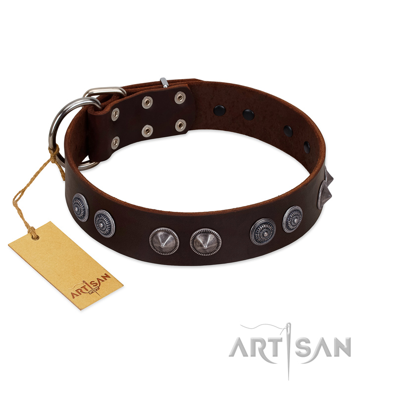 "King Arthur" FDT Artisan Brown Leather Swiss Mountain Dog Collar with Spiky Plates