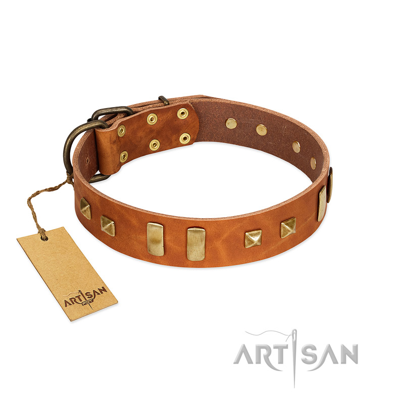 "Sand of Time" FDT Artisan Tan Leather Swiss Mountain Dog Collar with Old Bronze-like Studs and Plates