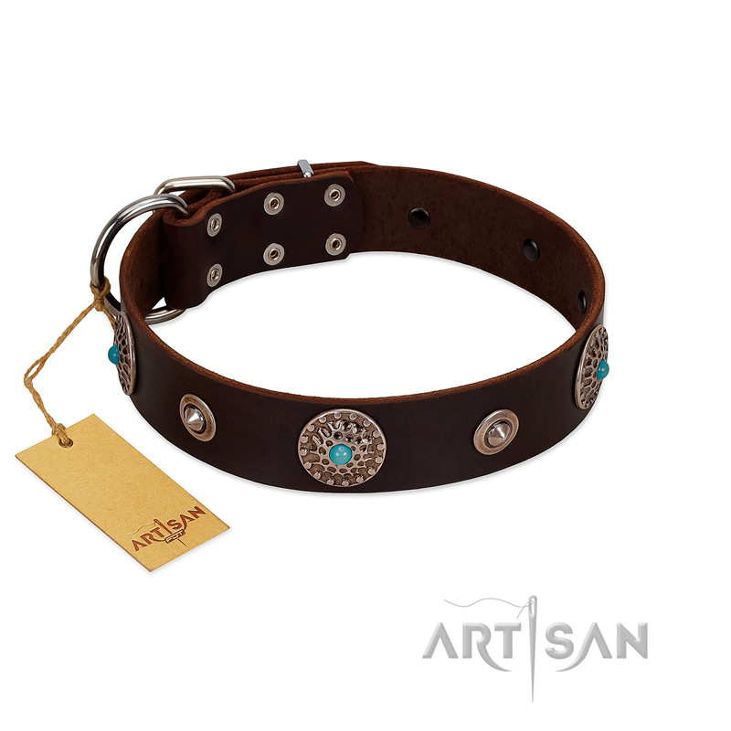 "Magic Stones" FDT Artisan Brown Leather Swiss Mountain Dog Collar with Chrome Plated Brooches and Studs
